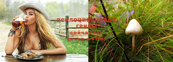 бошки Белокуриха