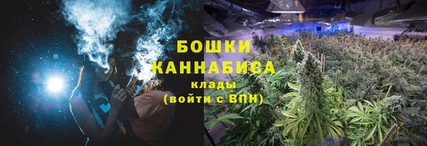 прущие грибы Богородск