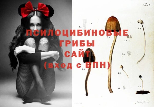 хмурый Богородицк