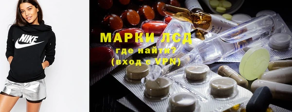 бошки Белокуриха